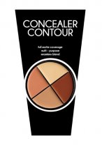 4 COLOR CONCEALER